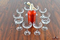 10 Rosenthal Champagne Glasses 