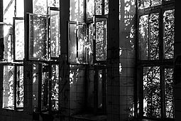 Old Windows